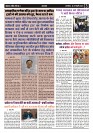 Page -  (3)