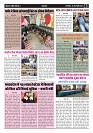 Page -  (3)