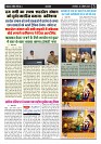 Page -  (3)