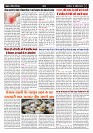 Page -  (6)