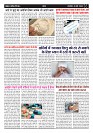 Page -  (14)