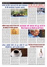 Page -  (3)