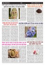 Page -  (6)