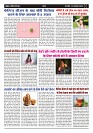 Page -  (6)